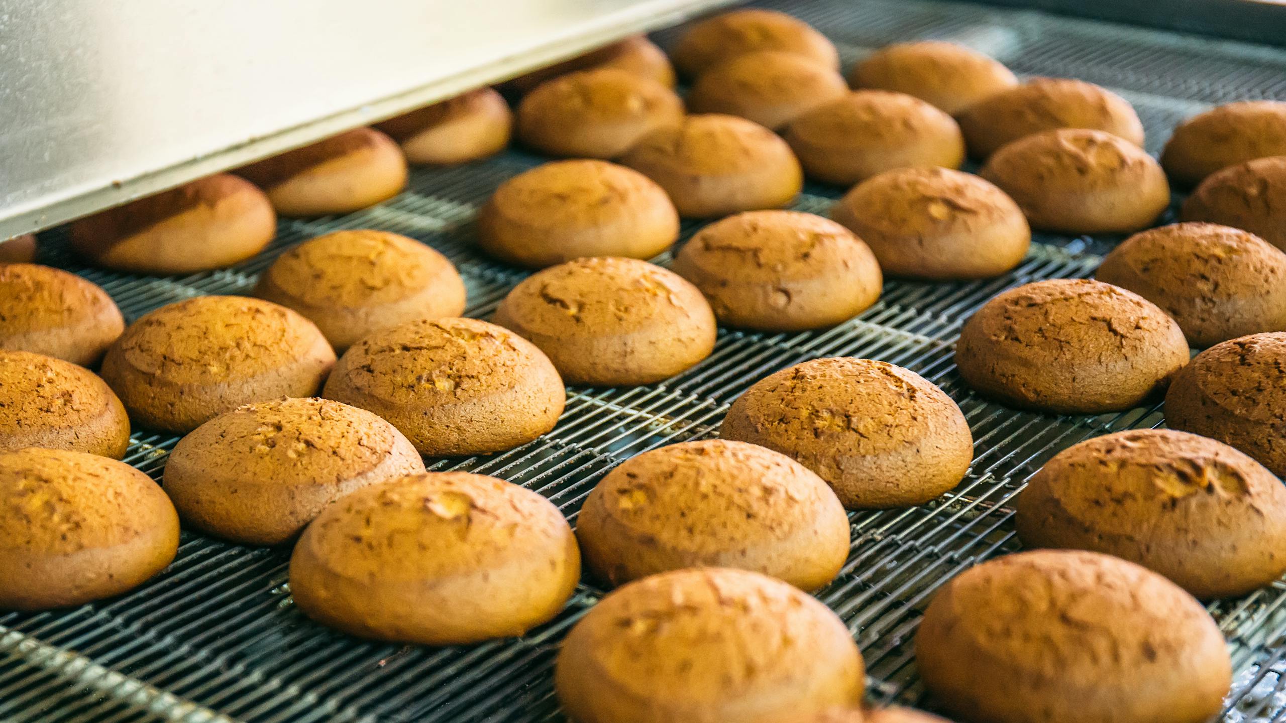 Koekjes fabriek