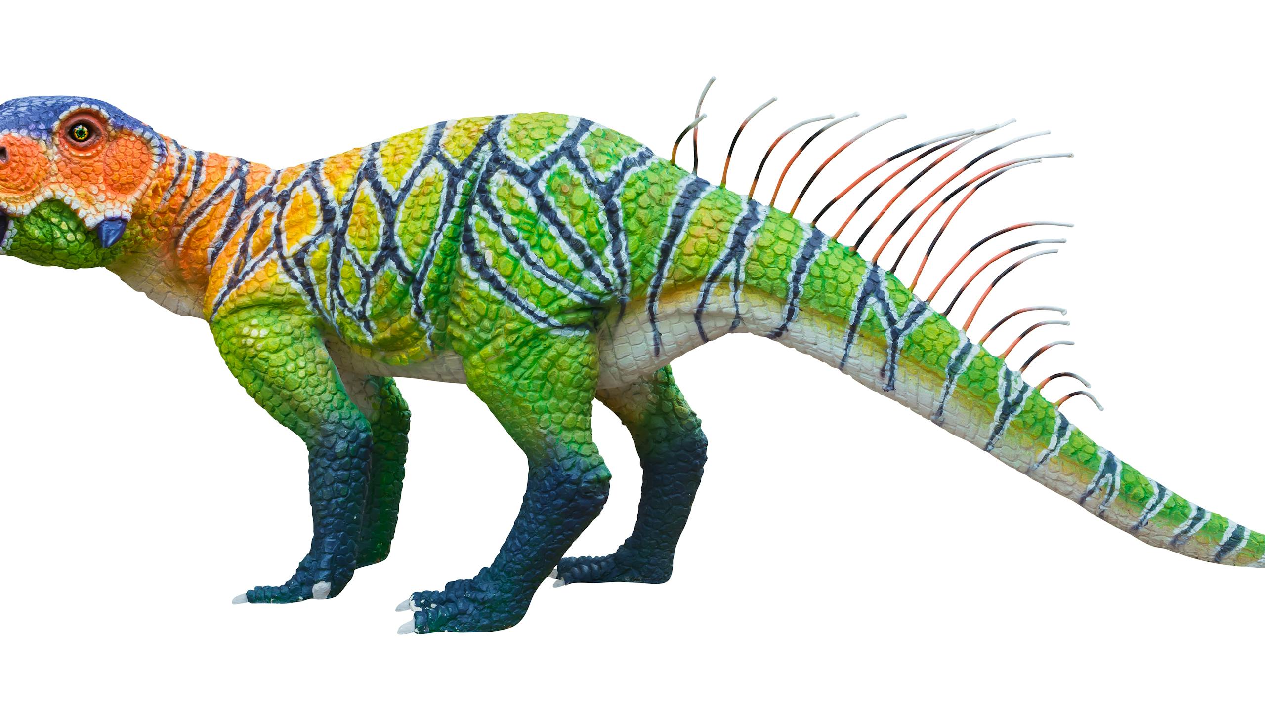 Dino achterwerk