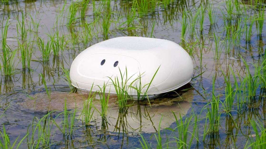 Robots in natuur
