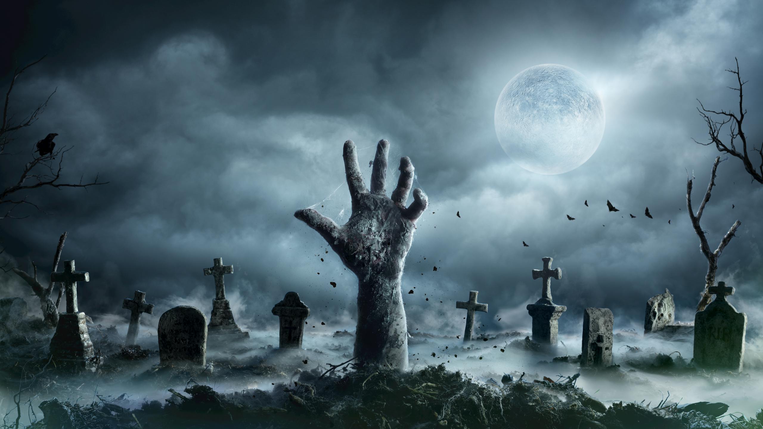 Shutterstock 1172527105