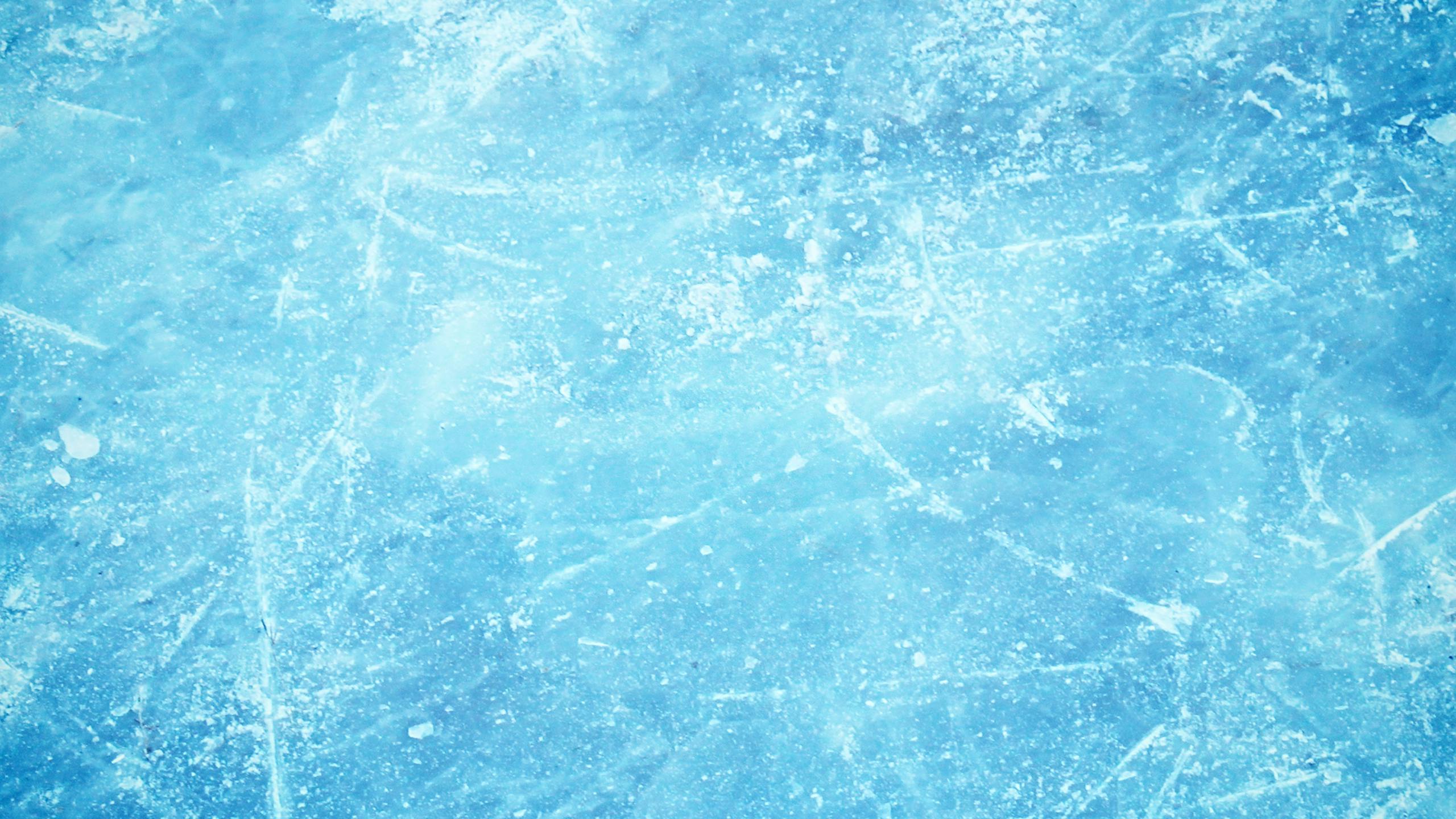 Shutterstock 351313604