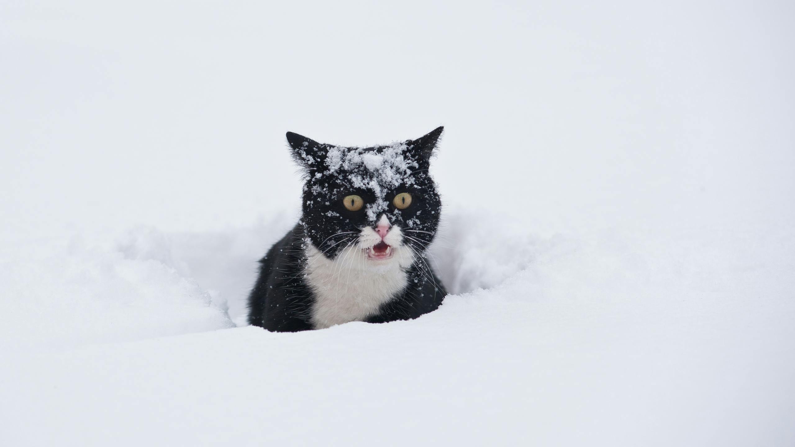 Shutterstock 94306930