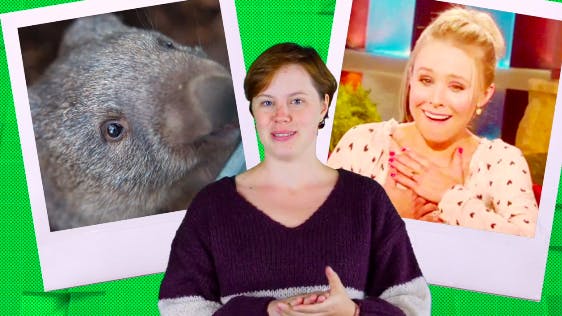Wombats3
