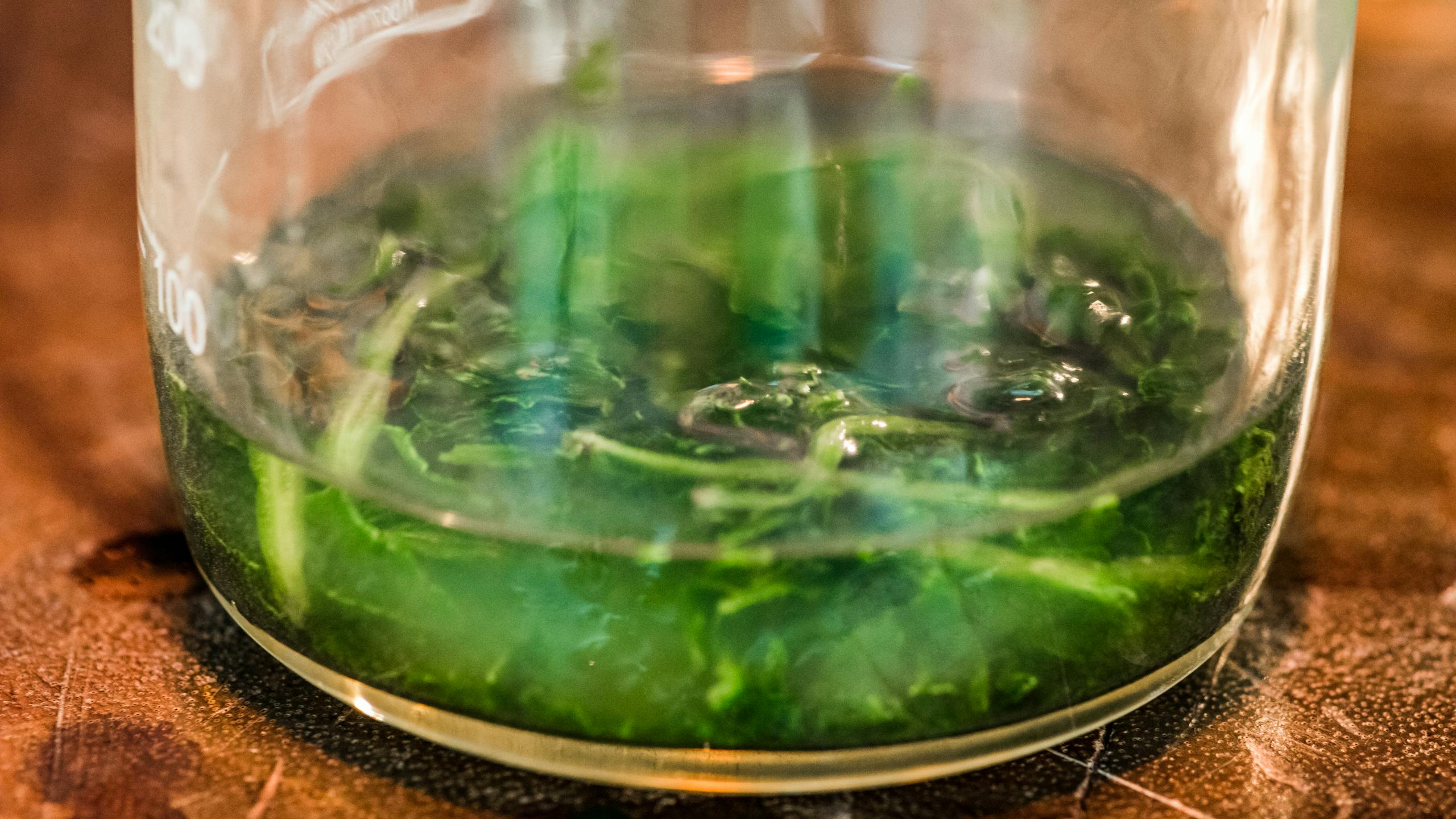 Haal de kleur groen uit spinazie 5