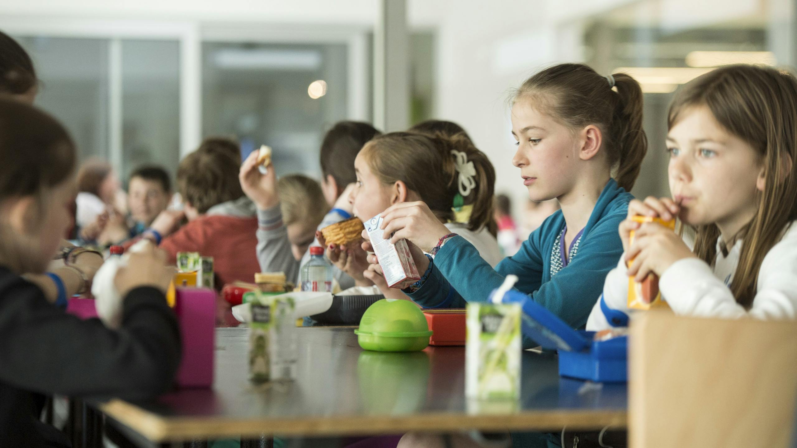 Picknick in Technopolis