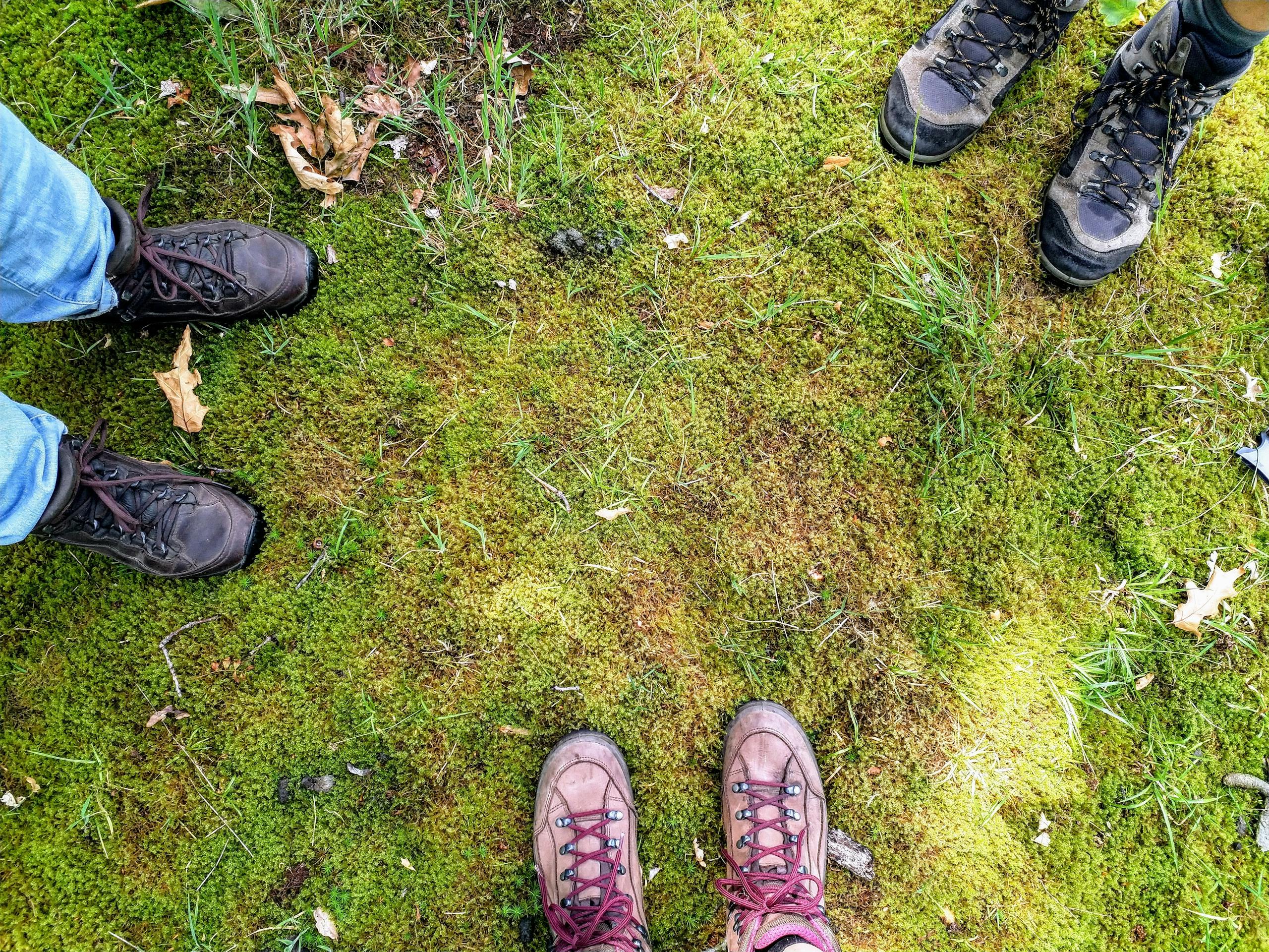 Stapschoenen