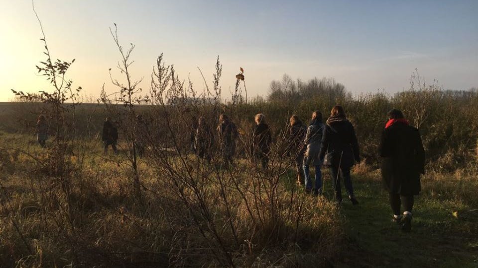 Wandelcoaching natuur coronaproof